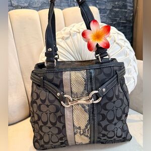 Coach Hamptons Signature Python Stripe Carryall Tote Shoulder Bag Purse #F13993